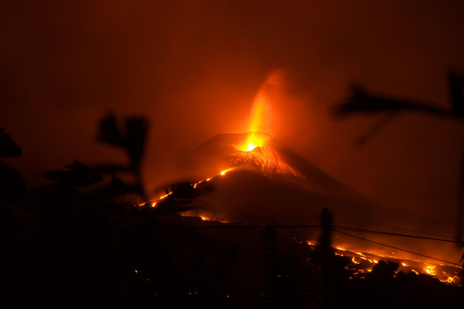 imagen_2024-11-06_123857588